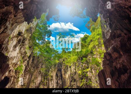 Blick von innen eine Höhle mit Blick auf Baum und blauen Himmel. Stockfoto