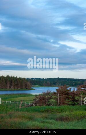 Cavendish Dunelands Trail entlang des Lake of Shining Waters. Atemberaubende Aussicht auf Sanddünen, Pinien und Süßwasserteiche. PEI Nationalpark, Kanada. Stockfoto