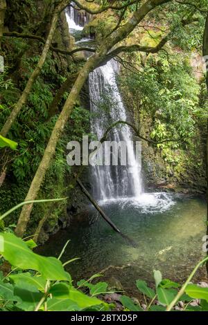 Spazieren Sie und entdecken Sie den Wasserfall prego salto auf der Insel sao miguel, azoren, Portugal. Stockfoto