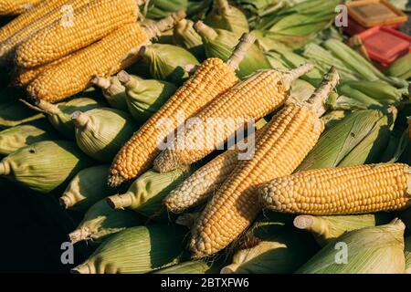 Frische Rohe Gelbe Maiskörner In Heap Auf Dem Lokalen Agrarmarkt. Maiskorn Ernten. Stockfoto