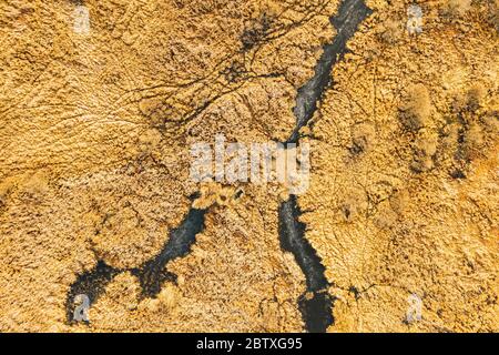 Luftaufnahme Von Trockenem Gras Und Gefrorenen Sumpflandschaften Im Spätherbst. Ansicht Mit Hoher Einstellung. Moor. Drohnenansicht. Vogelperspektive. Stockfoto