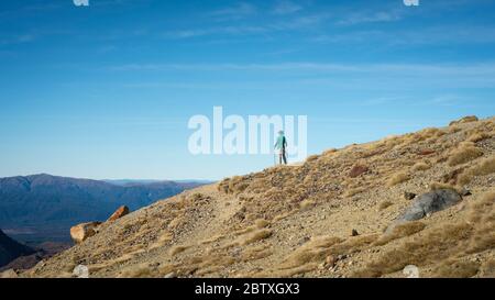 Bewundern Sie die Aussicht von den Hügeln über smaragdgrüne Seen auf dem Tongariro Alpine Crossing in Neuseeland Stockfoto