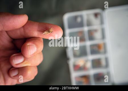 Nahaufnahme der Fliegenfischen fliegen auf dem Finger neben Box mit gebundenen Fliegen. Fliegenfischen Ausrüstung Stillleben. Stockfoto