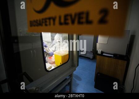 Bandung, Indonesien. Mai 2020. Ein Mediziner, der einen Schutzanzug trägt, untersuchte die Probenergebnisse der Untersuchung mit Polymerase Chain Reaction (PCR) Methode im Biosafety Level II Laboratory (BSL-2) in Bandung, West Java, Indonesien, 28. Mai 2020. Derzeit plant die indonesische Regierung, 72 Labore in Indonesien neu zu betonen. Dies wurde auch als Versuch getan, das Ziel von 10,000 Test PCR pro Tag in Indonesien zu erreichen.(Foto von Agvi Firdaus/INA Photo Agency/Sipa USA) Quelle: SIPA USA/Alamy Live News Stockfoto