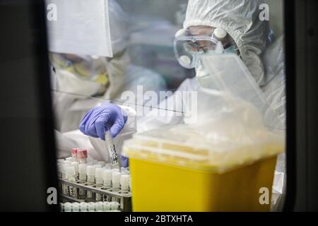 Bandung, Indonesien. Mai 2020. Ein Mediziner, der einen Schutzanzug trägt, untersuchte die Probenergebnisse der Untersuchung mit Polymerase Chain Reaction (PCR) Methode im Biosafety Level II Laboratory (BSL-2) in Bandung, West Java, Indonesien, 28. Mai 2020. Derzeit plant die indonesische Regierung, 72 Labore in Indonesien neu zu betonen. Dies wurde auch als Versuch getan, das Ziel von 10,000 Test PCR pro Tag in Indonesien zu erreichen.(Foto von Agvi Firdaus/INA Photo Agency/Sipa USA) Quelle: SIPA USA/Alamy Live News Stockfoto