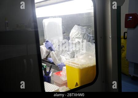 Bandung, Indonesien. Mai 2020. Ein Mediziner, der einen Schutzanzug trägt, untersuchte die Probenergebnisse der Untersuchung mit Polymerase Chain Reaction (PCR) Methode im Biosafety Level II Laboratory (BSL-2) in Bandung, West Java, Indonesien, 28. Mai 2020. Derzeit plant die indonesische Regierung, 72 Labore in Indonesien neu zu betonen. Dies wurde auch als Versuch getan, das Ziel von 10,000 Test PCR pro Tag in Indonesien zu erreichen.(Foto von Agvi Firdaus/INA Photo Agency/Sipa USA) Quelle: SIPA USA/Alamy Live News Stockfoto