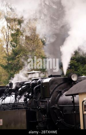 Eisenbahn im Harz, Deutschland Stockfoto