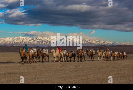 Mongolische Nomaden reiten auf Kamelen durch Steppe, schneebedeckte Bergkette, Provinz Khovd, Mongolei Stockfoto