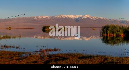 Jargalant khairkhan Berg, Char US See, Chowd-Aimag, Mongolei Stockfoto