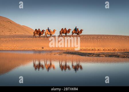 Karawane, Nomaden reiten auf baktrischen Kamelen (Camelus bactrianus) durch die Wüste Gobi, Spiegelung im Wasser, Oemnoe-Gobi-Aimag, Mongolei Stockfoto