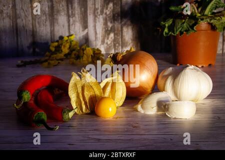 Für ein gesundes Leben, essen Sie täglich Obst und Gemüse. Stockfoto