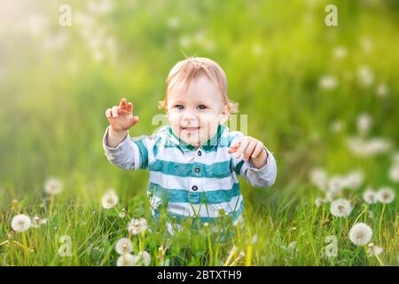 Glückliches Kind lächelt im grünen Feld des Löwenzahns unbeschwerte Kindheit Stockfoto