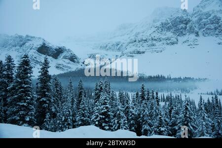 Winter im Banff National Park in den kanadischen Rocky Mountains Stockfoto