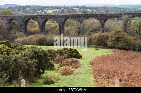 Lake Viaduct (1874), trug die L&SWR Eisenbahn über 9 Granitbögen auf ihrer Strecke zwischen Okehampton und Lydford, Devon, England, Großbritannien. Stockfoto