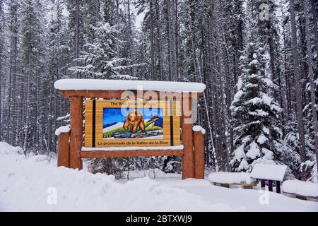 Banff Kanada - 23. Dezember 2016 - Bow Valley Parkway im Banff National Park in den kanadischen Rocky Mountains Stockfoto