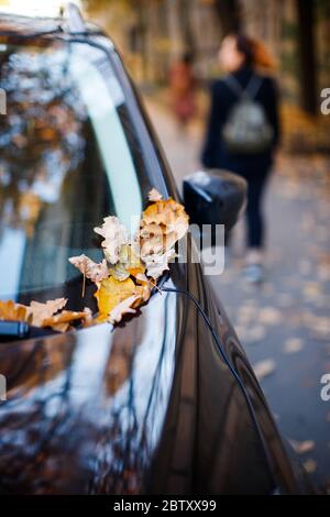 Fallen trockene braune Eichenblätter liegen auf Autoscheibe und Motorhaube bei sonnigem Wetter, weichen Fokus, Menschen auf Hintergrund. Herbstlaub, Transport, Saison con Stockfoto