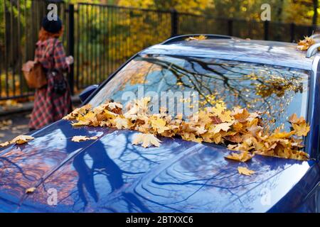 Fallen trockene braune Eichenblätter liegen auf Autoscheibe und Haube bei sonnigem Wetter, weichen Fokus, Menschen auf Hintergrund Herbstlaub, Transport, Saison Konz Stockfoto