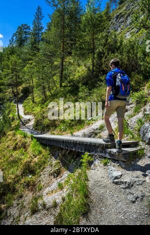 Der Junge Mann Geht Über Die Holzbrücke Auf Dem Wanderweg In Ötschergräben In Österreich Stockfoto
