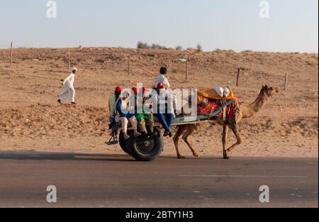 Ein Kamelie (Kamelfahrer) trägt das dekorierte Kamel, während er mit seinen Mobiles auf sam Sanddünen der Thar Wüste mit Touristen während Sonnenuntergang spricht Stockfoto