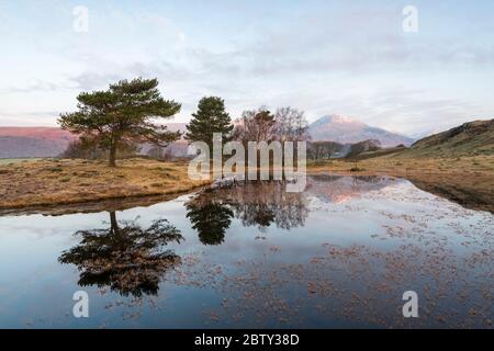 Kelly Hall Tarn mit Blick auf Coniston Old man bei Sonnenaufgang, Lake District National Park, UNESCO-Weltkulturerbe, Cumbria, England, Großbritannien, E. Stockfoto