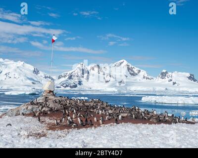 Gonzalez Videla Base, eine chilenische Forschungsstation in Paradise Bay, Antarktis, Polarregionen Stockfoto