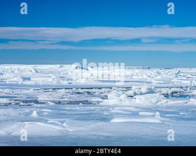 Meereis-Buckel und Schollen in Erebus und Terror Golf, Weddellmeer, Antarktis, Polarregionen Stockfoto