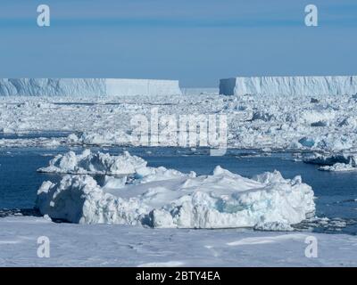 Meereis, Tafeleisberge und Brash-Eis in Erebus und Terror Golf, Weddellmeer, Antarktis, Polarregionen Stockfoto