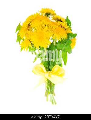 Bouquet von blühendem gelben Löwenzahn. Studio-Foto Stockfoto
