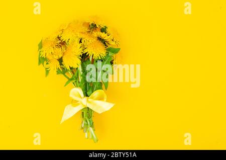 Bouquet von blühendem gelben Löwenzahn. Studio-Foto Stockfoto