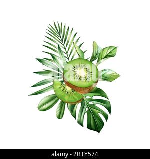 Wasserfarben Kiwi Früchte. Vertikales tropisches Bouquet mit ganzen, halbscheibenartigen Früchten und Monstera-Blättern. Botanische handgezeichnete Illustration isoliert auf Stockfoto