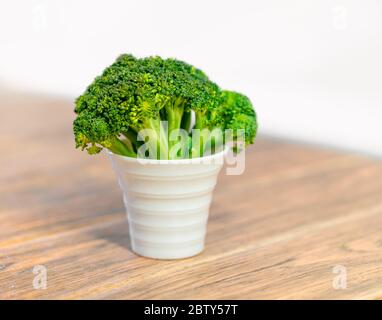 Kleiner grüner, baumförmiger Brokkoli in einem weißen Topf, Nahaufnahme auf einem Holztisch Stockfoto