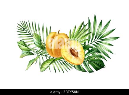 Wasserfarbene Pflaumenfrüchte. Horizontales tropisches Bouquet mit ganzen, halbscheibenartigen Früchten und Monstera-Blättern. Botanical Hand gezeichnet isoliert Illustration für Stockfoto