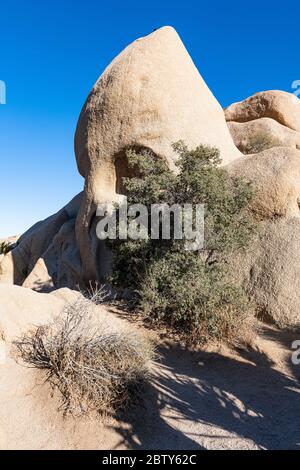 Schädelfelsenformation, Joshua Tree National Park, Kalifornien, Vereinigte Staaten von Amerika, Nordamerika Stockfoto