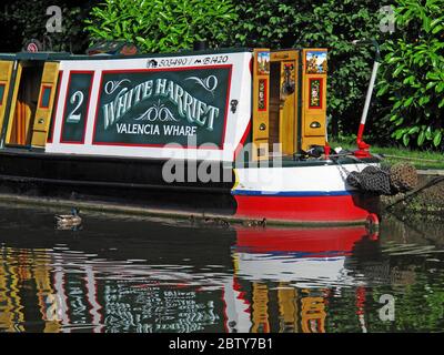 503490 ,B1420 White Harriet Valencia Wharf Narrowboot, Barge auf Kanal, Cheshire, England, Großbritannien, Reflexion Stockfoto