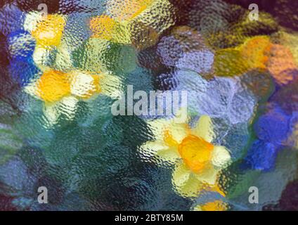 Farbenfrohe Blumenarrangement durch ein Milchglasfenster verschwommen. Stockfoto