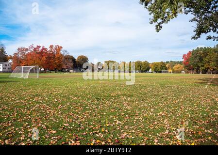 Blick auf einen leeren Fußballplatz mit Toren und Netz in einem öffentlichen Park auf einem sonnigen Herbst Moning. Der Platz ist mit gefallenen Blättern bedeckt. Stockfoto