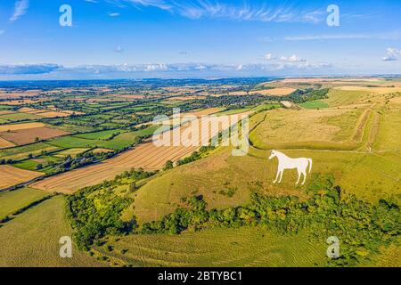 Luftaufnahme des berühmten Weißen Pferdes unterhalb des Bratton Camps, einem Hügel aus der Eisenzeit in der Nähe von Westbury, Wiltshire, England, Großbritannien, Europa Stockfoto