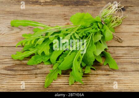 Bund frischer grüner Rucola. Foto in Studio Stockfoto