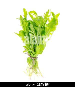 Bund frischer grüner Rucola. Foto in Studio Stockfoto