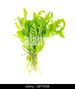 Bund frischer grüner Rucola. Foto in Studio Stockfoto