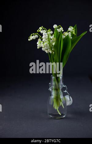 Ein Blumenstrauß von Lilien des Tals auf schwarzem Hintergrund mit Platz für Text. Zarte weiße Frühlingsblumen. Bouquet in einer Glasflasche. Copyspace. Stockfoto