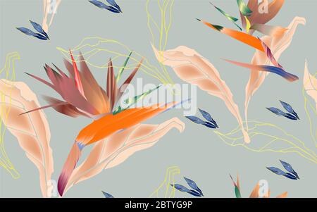 Blumen des Paradieses, Strelitzia Royal mit Blättern und Blütenblättern auf einem hellblauen Hintergrund nahtloses Muster. Vektor-Illustration mit tropischem pl Stockfoto