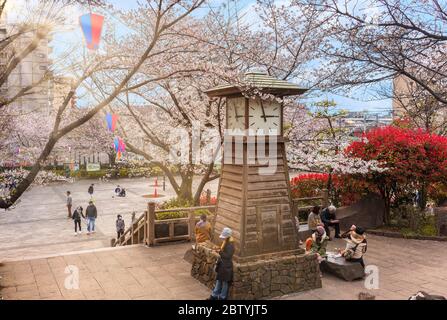 tokio, japan - märz 30 2020: Sonnenstrahlen durch die Zweige der Somei Yoshino Kirschblüten mit Blick auf den Uhrturm von Asukayama Stockfoto