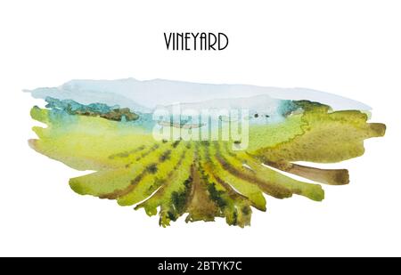 Aquarelllandschaft mit grünen Weingärten und blauen Bergen. Originaldarstellung der Weinberge im Hintergrund Stockfoto