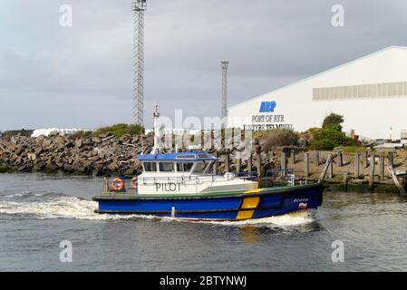 ABP-Pilotboot Scotia im Hafen von Ayr, Schottland Stockfoto