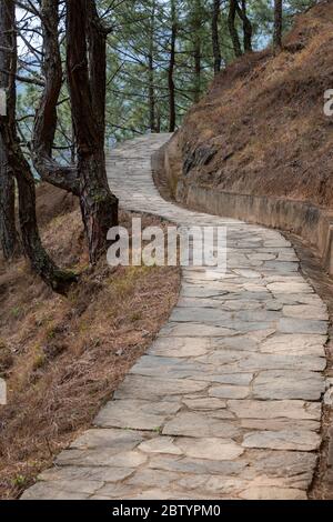 Bhutan, Punakha Bezirk, Yepaisa Dorf. Khamsum Yulley Namgyal Chöten aka Nyizergang Chöten und Punakha Zangdopelri. Wanderweg nach Choten. Stockfoto