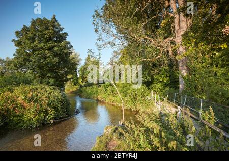 Der Meon River in Droxford, Hampshire, England, Großbritannien Stockfoto