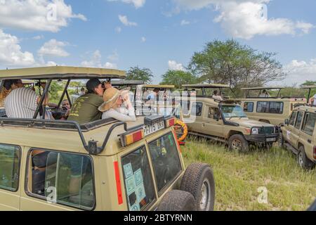 SERENGETI, TANSANIA - 15. Februar 2020: Menschen fotografieren und schauen sich eine Jeep-Safari im Serengeti Nationalpark an. Jeep Off Road Autos in Afrika Stockfoto