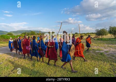 NGORONGORO, TANSANIA - 15. Februar 2020: Gruppe von masai-Leuten, die an einem traditionellen Tanz mit hohen Sprüngen teilnehmen, ausgewählter Fokus Stockfoto