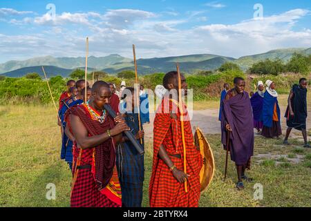 NGORONGORO, TANSANIA - 15. Februar 2020: Gruppe von masai-Leuten, die an einem traditionellen Tanz mit hohen Sprüngen teilnehmen, ausgewählter Fokus Stockfoto